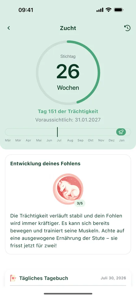 Zucht-Bildschirm mit Trächtigkeitszähler und Fohlenentwicklung