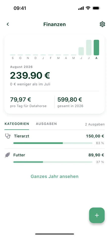 Finanz-Bildschirm mit Monatssumme und Kategorien